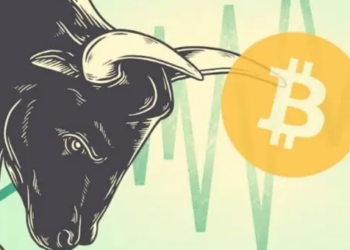 Analist Bir Sonraki Bitcoin Boğa Koşusunu Tahmin Etti