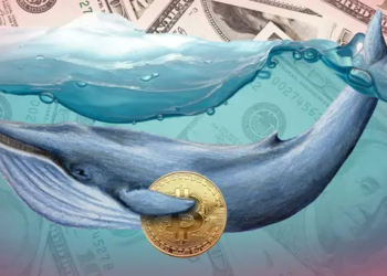 Bitcoin Balinaları, BTC Boşaltıyor - Karları ise İşte Buraya Akıttılar