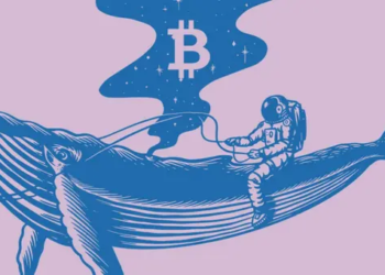 Bitcoin ve XRP Yoğun Balina Hareketi Yaşıyor