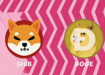 Shiba Inu (SHIB) 2023'te Dogecoin'i (DOGE) Geçebilir mi?