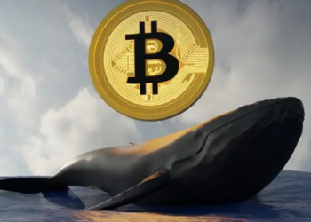 Yeni Bir Bitcoin Balinası Doğuyor: Binlerce BTC Satın Aldı.