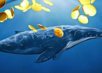 Balina Milyonlarca Altcoini Binance Borsasına Taşıdı!