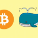 Bitcoin Balinaları 4 Yılın En Düşük Seviyesini Gördü!