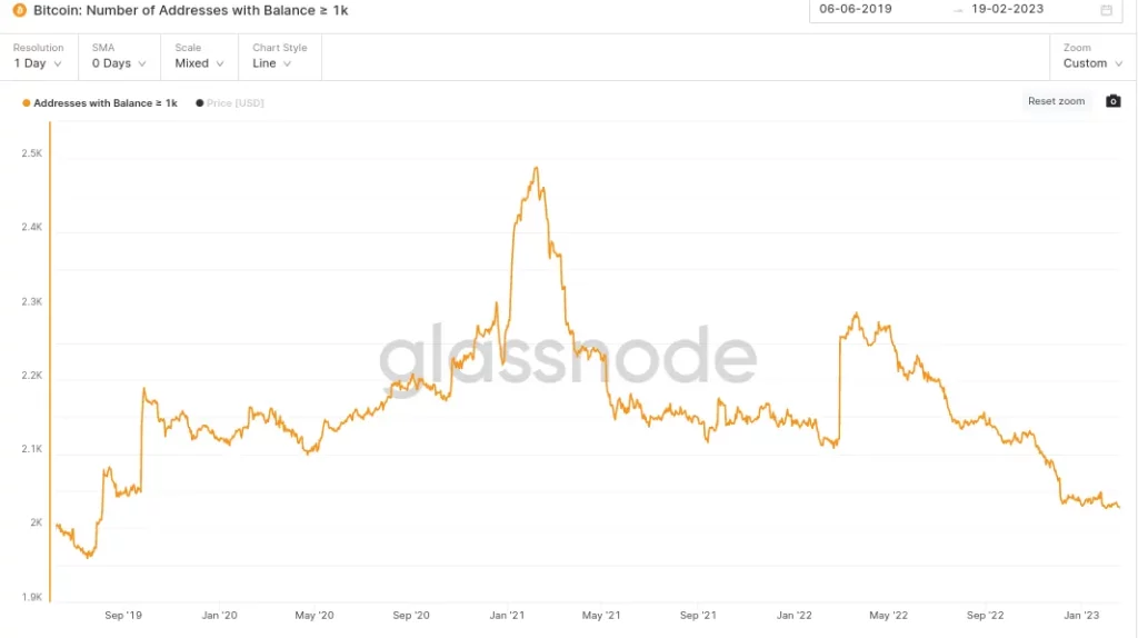  Bitcoin Balinaları 4 Yılın En Düşük Seviyesini Gördü!