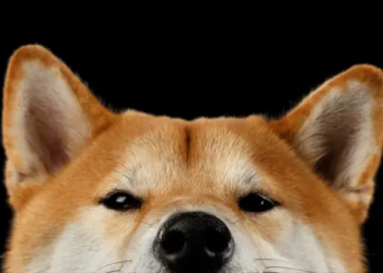 Shiba Inu'nun Merakla Beklenen Projesi Artık Hazır, Peki Çıkış Ne Zaman?