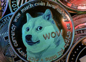 Dogecoin Balina İşlemleri, 2023'te En Yüksek Seviyeye Ulaştı