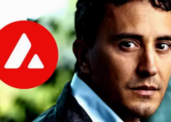 Avalanche, Türkiye'deki Depremzedeler İçin 1 Milyon Dolarlık Bağışta Bulundu