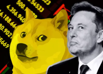 Elon Musk, Yeni CEO Konusunu Açtı, Floki Inu ve Shiba Inu Fiyatlarını Arttı