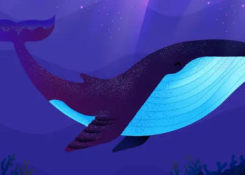 Kripto Piyasası Toplanmaya Yakın mı? Ethereum Balinalarından Ani Yükselişler