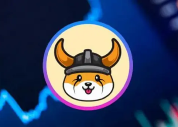 Floki Inu Fiyatı %30 Arttı; Ne oluyor?