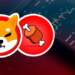 Shiba Inu'nun BONE Fiyatı Fırlayacak mı? İşte Nedeni