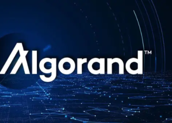 Algorand Hack Olayında Son Gelişme: Ekip Açıklama Yaptı