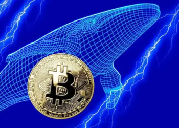 Balina Balinası 2023 Yılının En Büyük İşlemini Gerçekleştirdi