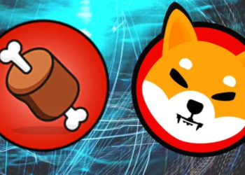 Shibarium için Çalıntı Kod Mu Kullanıldı? Geliştirici Açıklama Yaptı