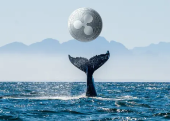 Piyasadaki Olumlu Hava, XRP Balinalarını Harekete Geçirdi