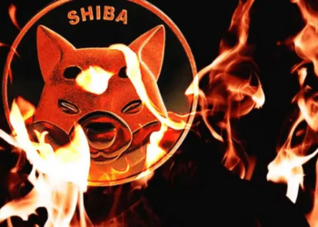 Shiba Inu Burn Oranı, %10000'in Üzerinde Arttı