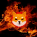 Shiba Inu Burn Rate, Shibarium Lansmanı Öncesi Fırladı