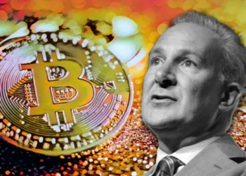 Peter Schiff, Dijital Paraya Geçileceğini Düşünüyor, Ancak Bitcoin Değil