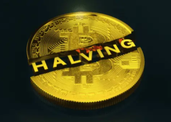 Bitcoin Halving'e Bir Yıl Kaldı; BTC Ne Zaman Yükselecek?