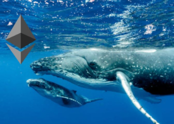 7 Yıldır Uyuyan Ethereum Cüzdanı Uyandı!