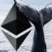 Ethereum Balinası Ocak Ayından Beri Binlerce ETH Biriktirdi