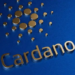 Yaklaşan Lansman Cardano Balinalarını Etkiledi