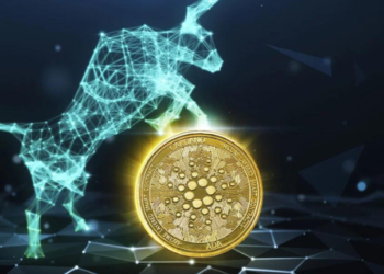 Cardano Balinaları Savaş Halinde!