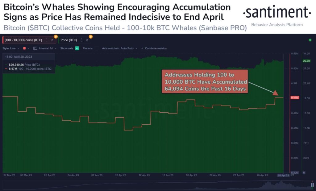 Bitcoin Balinaları Binlerce BTC Satın Aldı!