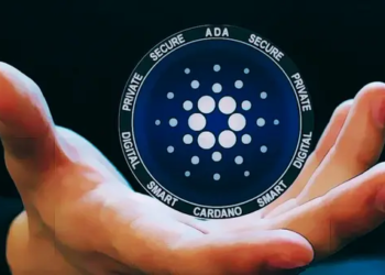 Cardano (ADA) Sahiplerinin Yarısından Fazlası Uzun Vadelilerden Oluşuyor