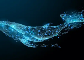 Cardano Balinaları Büyük Miktarlarda Biriktiriyor; Bu Direnç Önemli