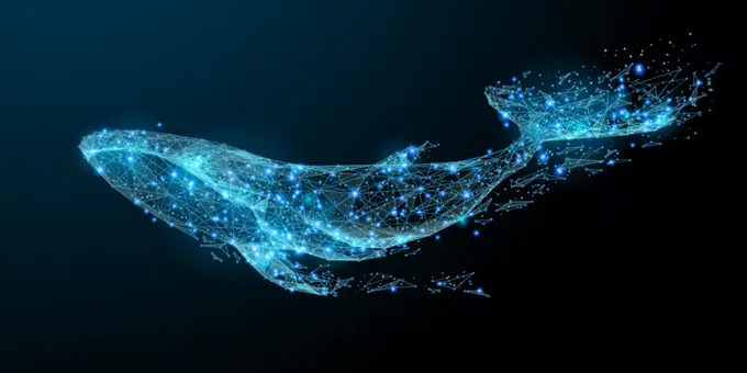 Cardano Balinaları Büyük Miktarlarda Biriktiriyor; Bu Direnç Önemli