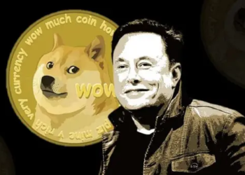 Elon Musk, Dogecoin Tanıtımını Durdurabilir; Doge Darbe Alacak mı?