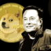 Elon Musk, Dogecoin Tanıtımını Durdurabilir; Doge Darbe Alacak mı?