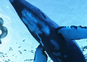 Santiment, Bitcoin Balina Hareketlerinin Artık Uyarı Verdiğini Söyledi