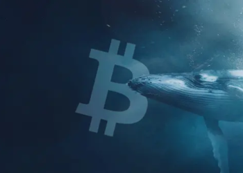 Bitcoin Balinası Uyandı, 9 Yıl Sonra İlk Kez Milyonlarca Dolar Gönderdi