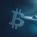 Bitcoin Balinası Uyandı, 9 Yıl Sonra İlk Kez Milyonlarca Dolar Gönderdi