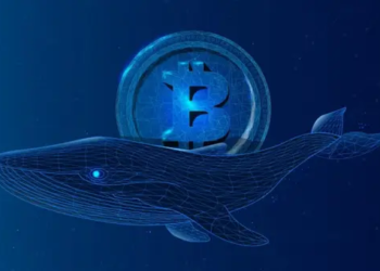 Birden Fazla Uyuyan Bitcoin Balinası Uyanıyor; Bu ne anlama geliyor?