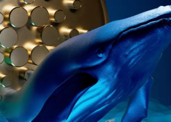 Cardano Balinaları Son Günlerde Oldukça Hareketli; Büyük Bir Şey mi Geliyor?