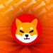 Shiba Inu, Dogecoin Rüzgarını Ardına Alabilecek mi?