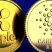 XRP Son Kazanımları Artırırken ADA 7 Ayın En Yüksek Seviyesine Yükseldi
