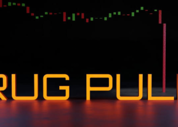 PeckShield 24 Meme Coin İçin Rug-Pull Uyarısı Yaptı.