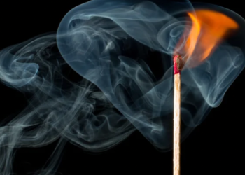 Baby Doge Coin 100 Katrilyonluk Token Yakımını Duyurdu.