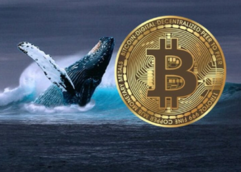 Bitcoin 27.000 Dolar Seviyesini Kaybederken Balinalar Ne Yapıyor?