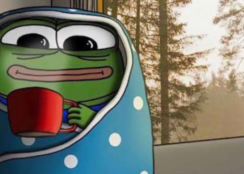 Büyük Popülerlik Kazanan PEPE İçin İlgi Azalıyor Mu?