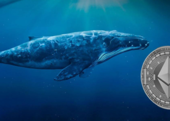 Yıllardır Uyuyan Ethereum Balinası Uyandı!