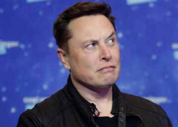 Elon Musk Yaptığı Paylaşımla Bu Kez PEPE Fiyatını Etkiledi