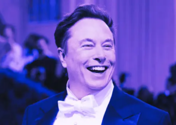 Elon Musk Bağlantılı Yeni Memecoin LADYS, Odak Noktasını Değiştiriyor