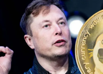 Elon Musk, Dogecoin Yatırımcıları İçin Uyarıda Bulundu