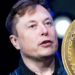 Elon Musk, Dogecoin Yatırımcıları İçin Uyarıda Bulundu