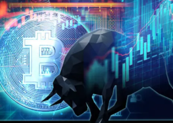 Bitcoin Piyasa Döngüsü Boğa Koşusunun Başladığını Gösteriyor